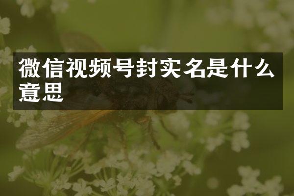 微信视频号封实名是什么意思