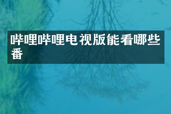 哔哩哔哩电视版能看哪些番