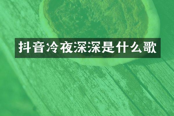 抖音冷夜深深是什么歌
