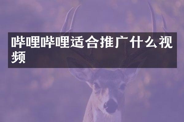 哔哩哔哩适合推广什么视频
