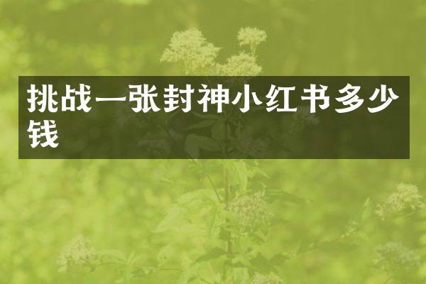 挑战一张封神小红书多少钱