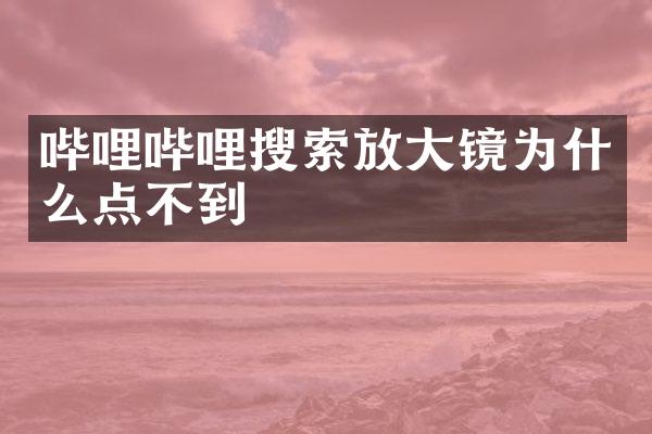 哔哩哔哩搜索放大镜为什么点不到