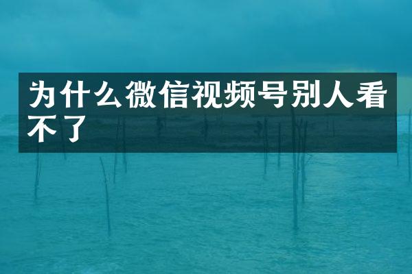 为什么微信视频号别人看不了