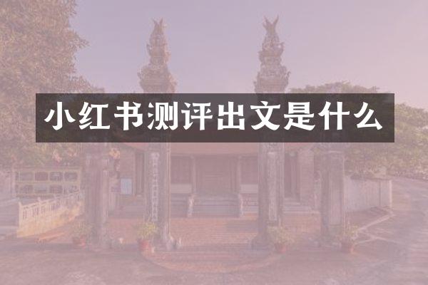 小红书测评出文是什么
