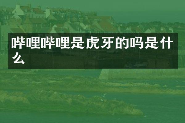 哔哩哔哩是虎牙的吗是什么