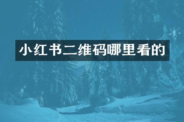 小红书二维码哪里看的