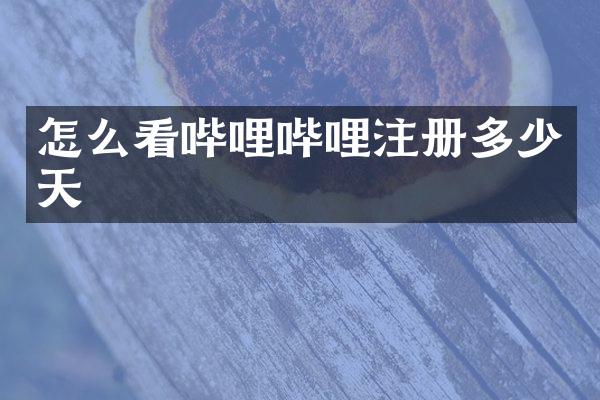 怎么看哔哩哔哩注册多少天