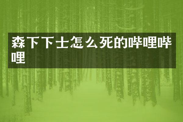 森下下士怎么死的哔哩哔哩