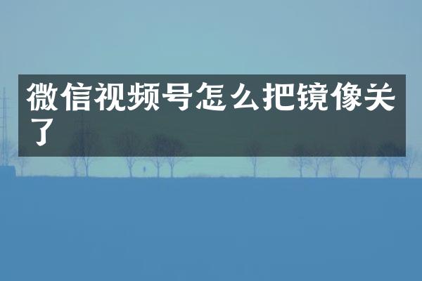 微信视频号怎么把镜像关了