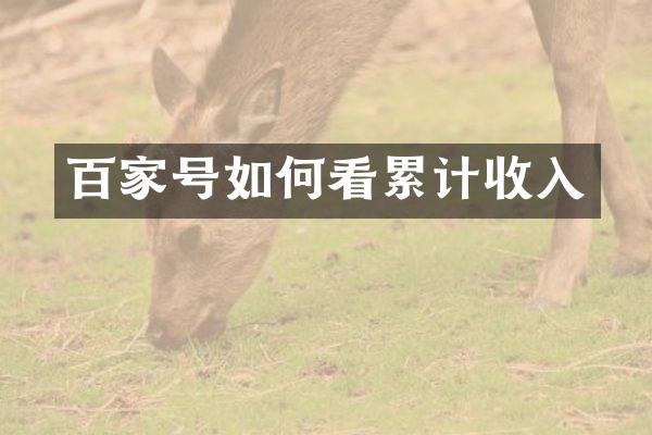 百家号如何看累计收入