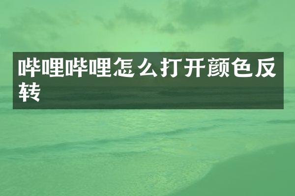 哔哩哔哩怎么打开颜色反转