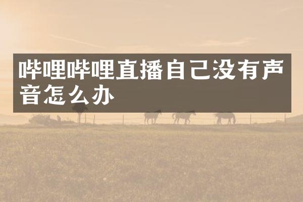 哔哩哔哩直播自己没有声音怎么办