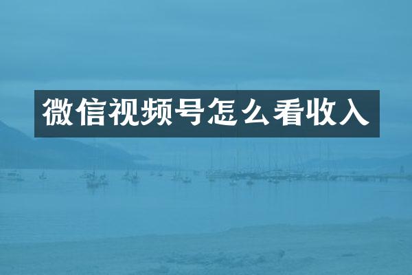 微信视频号怎么看收入