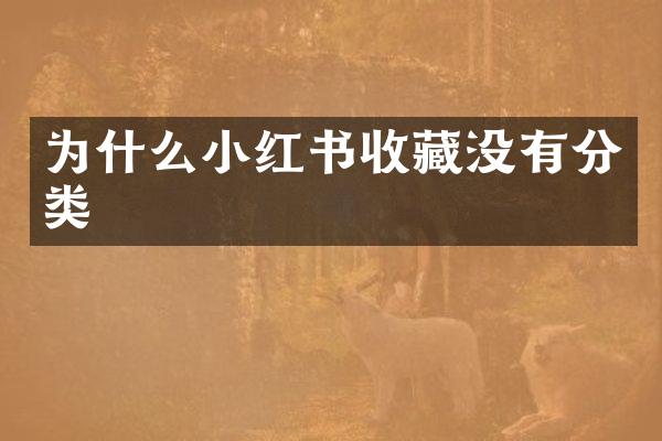 为什么小红书收藏没有分类