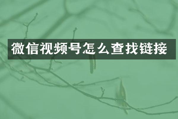 微信视频号怎么查找链接