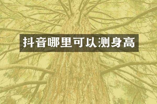 抖音哪里可以测身高