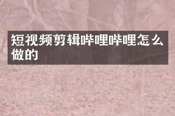 短视频剪辑哔哩哔哩怎么做的
