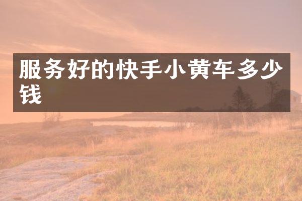 服务好的快手小黄车多少钱