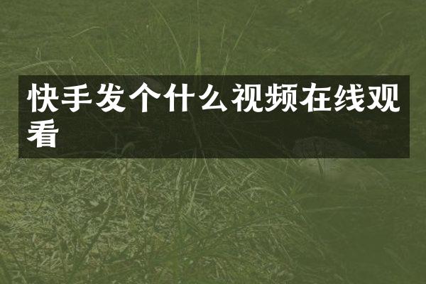 快手发个什么视频在线观看