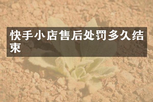 快手小店售后处罚多久结束