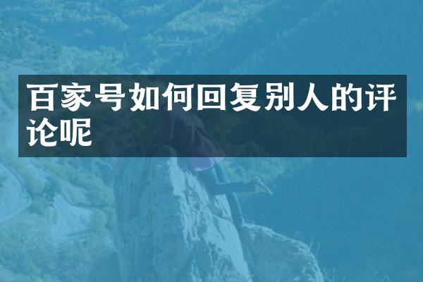 百家号如何回复别人的评论呢