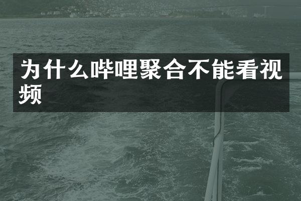 为什么哔哩聚合不能看视频