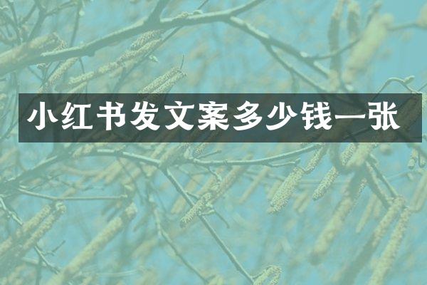 小红书发文案多少钱一张