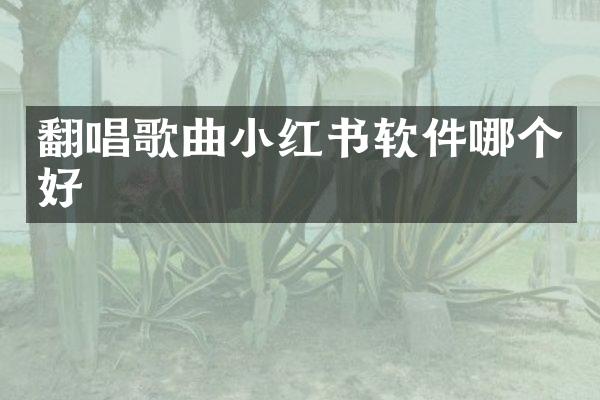 翻唱歌曲小红书软件哪个好