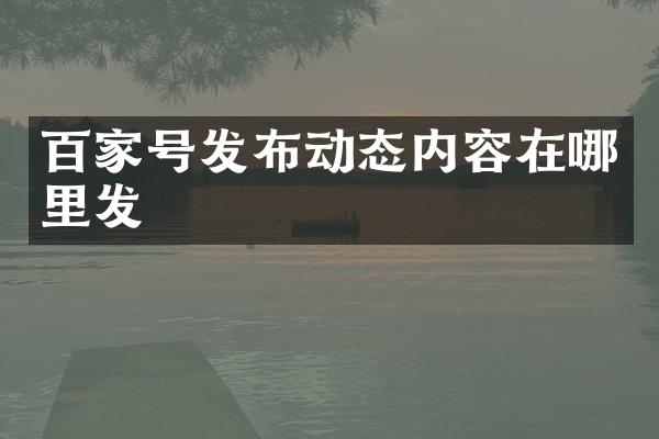 百家号发布动态内容在哪里发