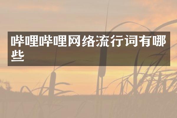 哔哩哔哩网络流行词有哪些