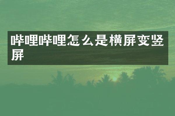 哔哩哔哩怎么是横屏变竖屏