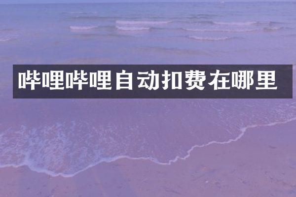 哔哩哔哩自动扣费在哪里
