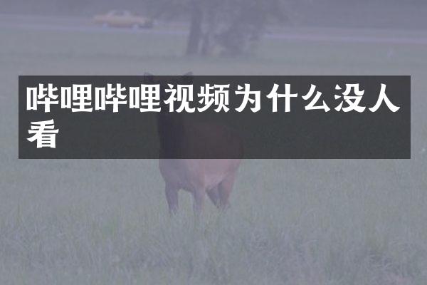 哔哩哔哩视频为什么没人看