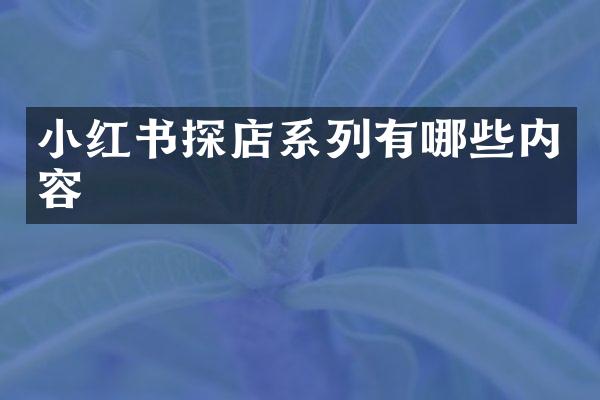 小红书探店系列有哪些内容