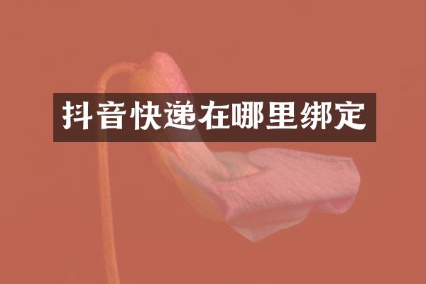 抖音快递在哪里绑定