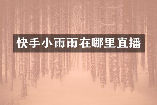 快手小雨雨在哪里直播