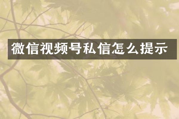 微信视频号私信怎么提示
