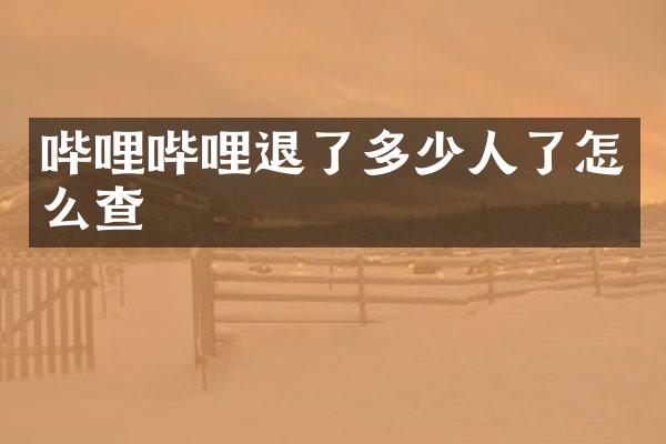哔哩哔哩退了多少人了怎么查