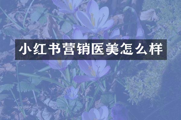 小红书营销医美怎么样