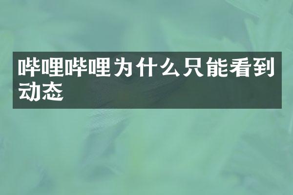 哔哩哔哩为什么只能看到动态