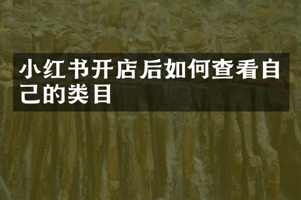 小红书开店后如何查看自己的类目