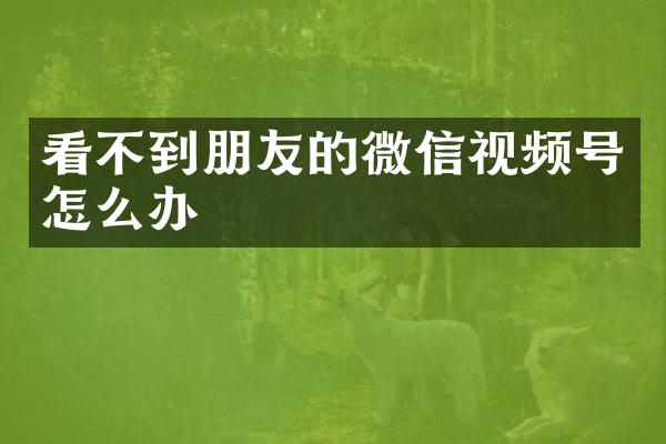 看不到朋友的微信视频号怎么办