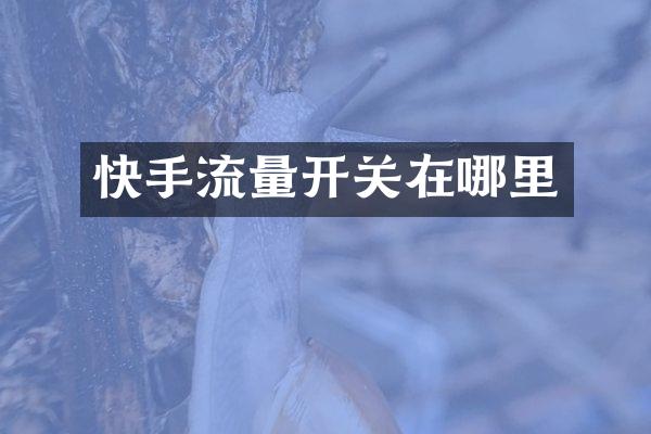 快手流量开关在哪里