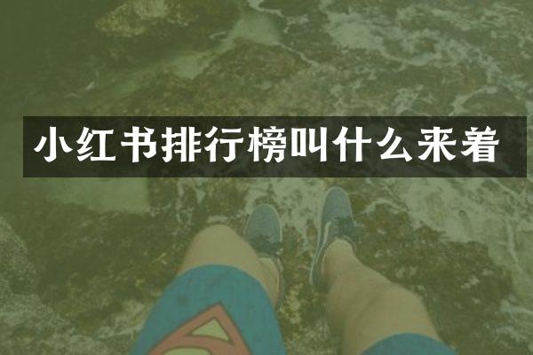 小红书排行榜叫什么来着