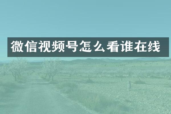 微信视频号怎么看谁在线
