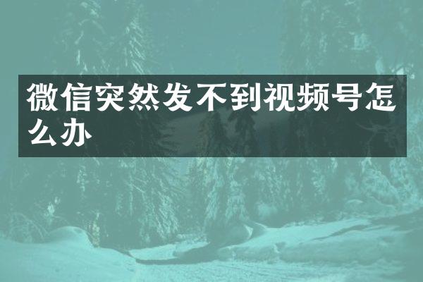 微信突然发不到视频号怎么办