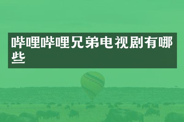 哔哩哔哩兄弟电视剧有哪些