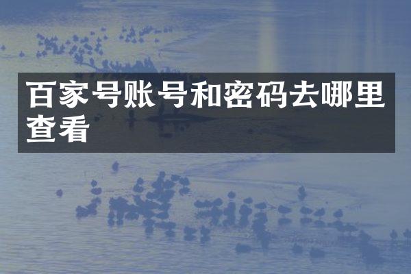 百家号账号和密码去哪里查看