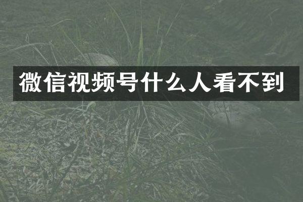 微信视频号什么人看不到
