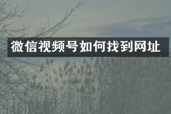 微信视频号如何找到网址